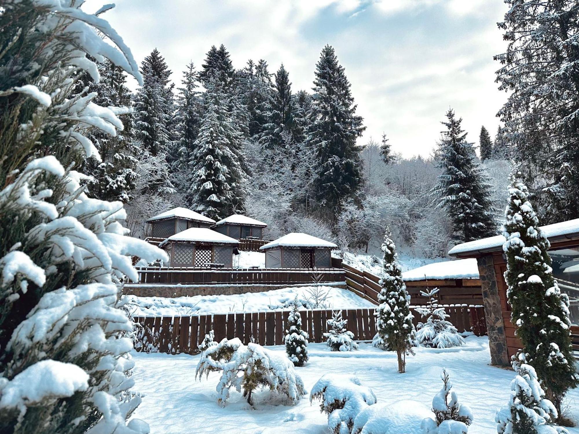 Chalet Filvarok Slavske Buitenkant foto